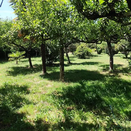 Casa de Campo O Marco Da Legua&camino De Santiago Pinor
